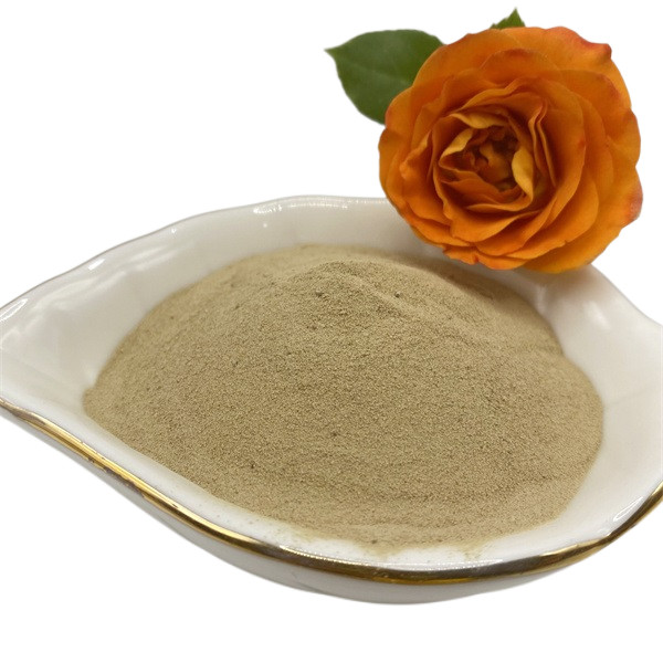 Agriculture écologique Poudre d'engrais brun clair 5% d'humidité