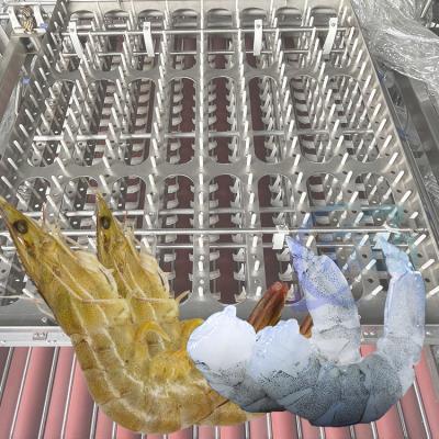 Flexible Prawn Deshelling Machine , Industrial Automatic Shrimp Peeler And Deveiner