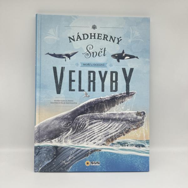Full Color Children's Book Printing 350gsm C1S / 400gsm C1S Glossy Lamination