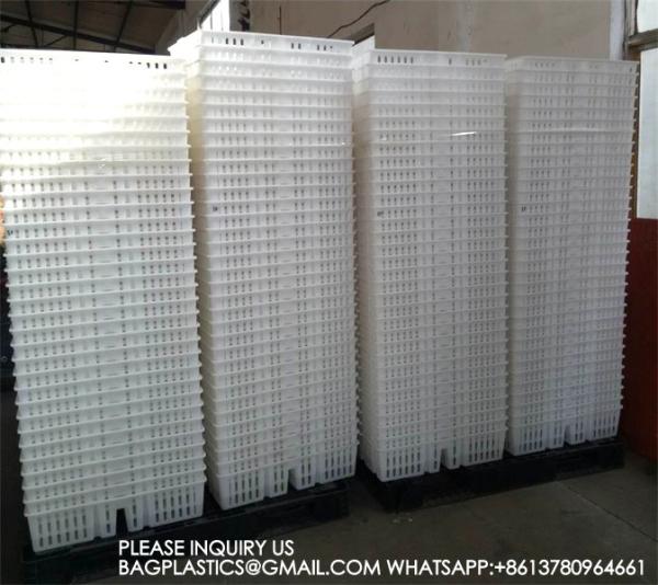 sustainable white chicken cage 680*490*160mm Virgin PP Transportation Chicken Cage