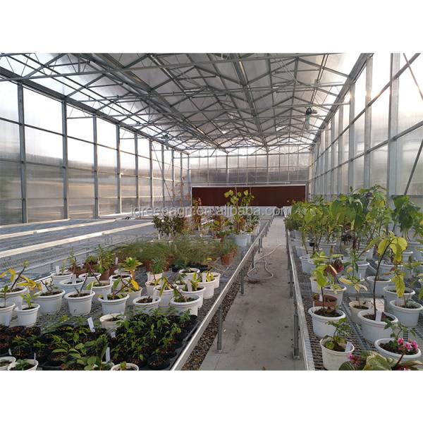 IGreen Commercial Polycarbonate Greenhouse Greenhouse Polycarbonate Frame