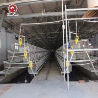 Q235 Gaiolas de bateria, galinhas poedeiras, materiais de criação de frangos, tipo A
