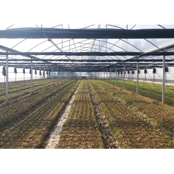 Rustproof Galvanized Greenhouse With Anti-Hail Plastic Film For Harsh Climates