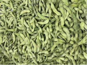Elevação certificada HALAL - Edamame Beans congelado proteína