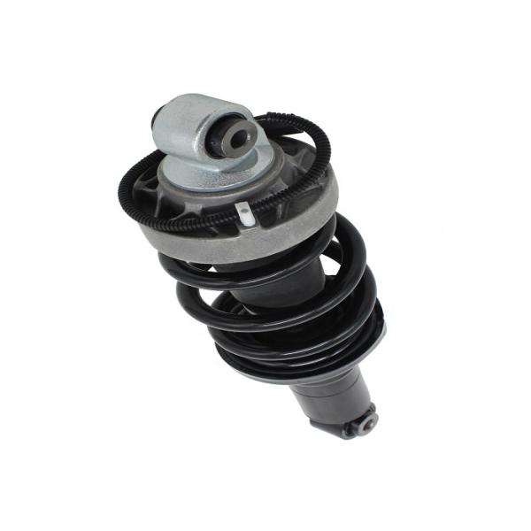 420412019AJ 420412019Q Air Suspension Strut For Audi R8 Front Air Shock Assembly 420412019AH 420412020AH