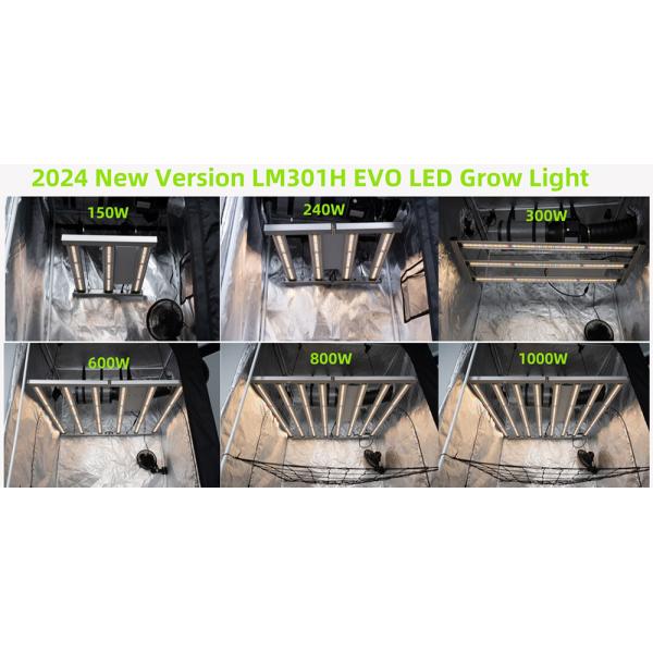 BAVAGREEN 240W Samsung LM301H EVO Mint White LED Pflanzenlampe IR UV Full Spectrum Led Grow Light For 80x80x180 Growbox