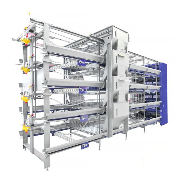 Broiler Cage Poultry Cage Battery Cage Poultry Equipment Chain Type Harvesting 