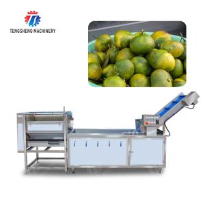 Citrus cleaning production line Fruit Orange Wash Washer Washing Cleaning Dryer