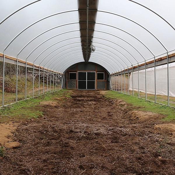 Single Span PE Film Greenhouse TUV Low Cost Poly Tunnel Greenhouse