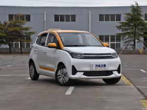 AC Motor Electric Mini Car Maintenance Free Lead Acid Battery