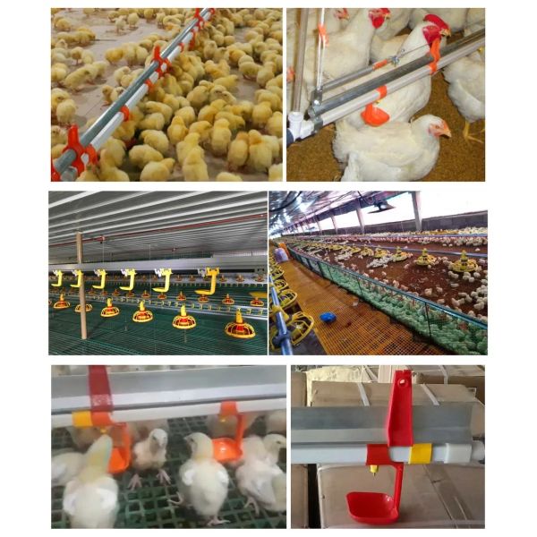 Low Cost Automatic Poultry Equipment with Feed Delivery, Ventilation, and Cooling Systems