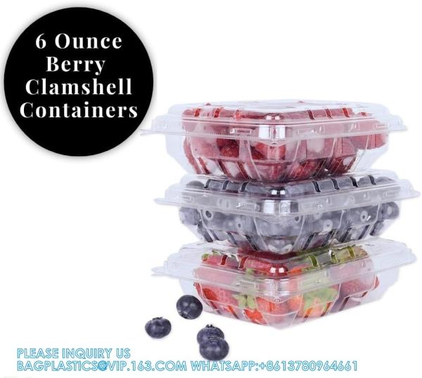Wholesale Transparent Fresh Strawberry Packaging Container Supermarket Food Plastic Box Plastic Strawberry Packing Box