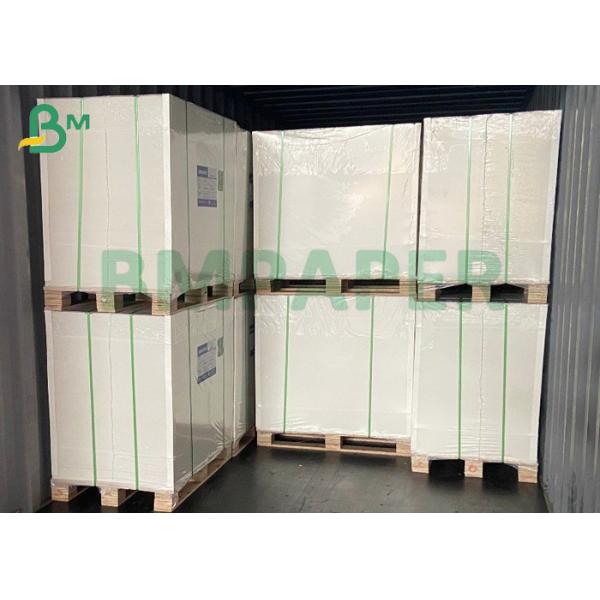 Основное вещество чашки бумаги с покрытием PE лоска качества еды 210gsm