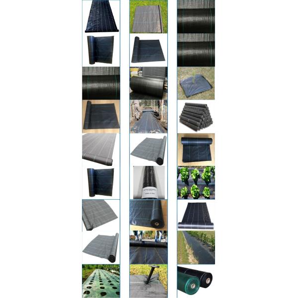 Плантатор сада пластмассы полиэтилена ЛДПЭ кладет в мешки для овоща, дерева и саженец цветка, ЛДПЭ пластмассы отверстия 15 ГАЛЛОНОВ растет б