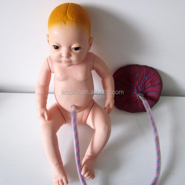 Advanced PVC Placental Care Model Newborn Baby Manikin for Healthcare Professionals