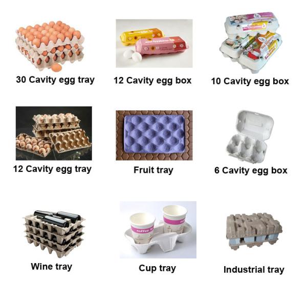 Energy Saving Egg Tray Production Line , Small Capacity Rotary Type Egg Box Making Machine