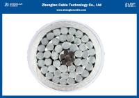 Overhead Bare Conductor Wire ( Area AL:160mm2 Steel:26.1mm2 Total 186mm2 )​, （AAC,AAAC,ACSR）