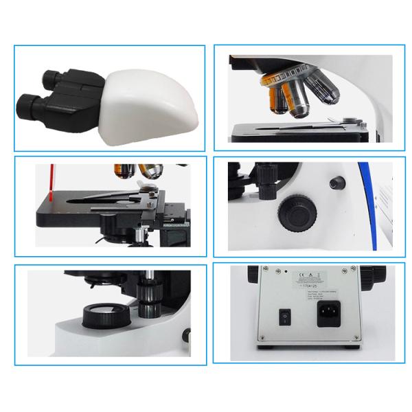 BK5000 CE / RoHs Certificated Binocular Biological Microscope Suitable Science Research