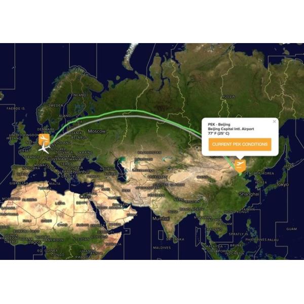 Sino - EU Air Cargo Delivery China To Frankfurt Germany Support FOB EXW DDP