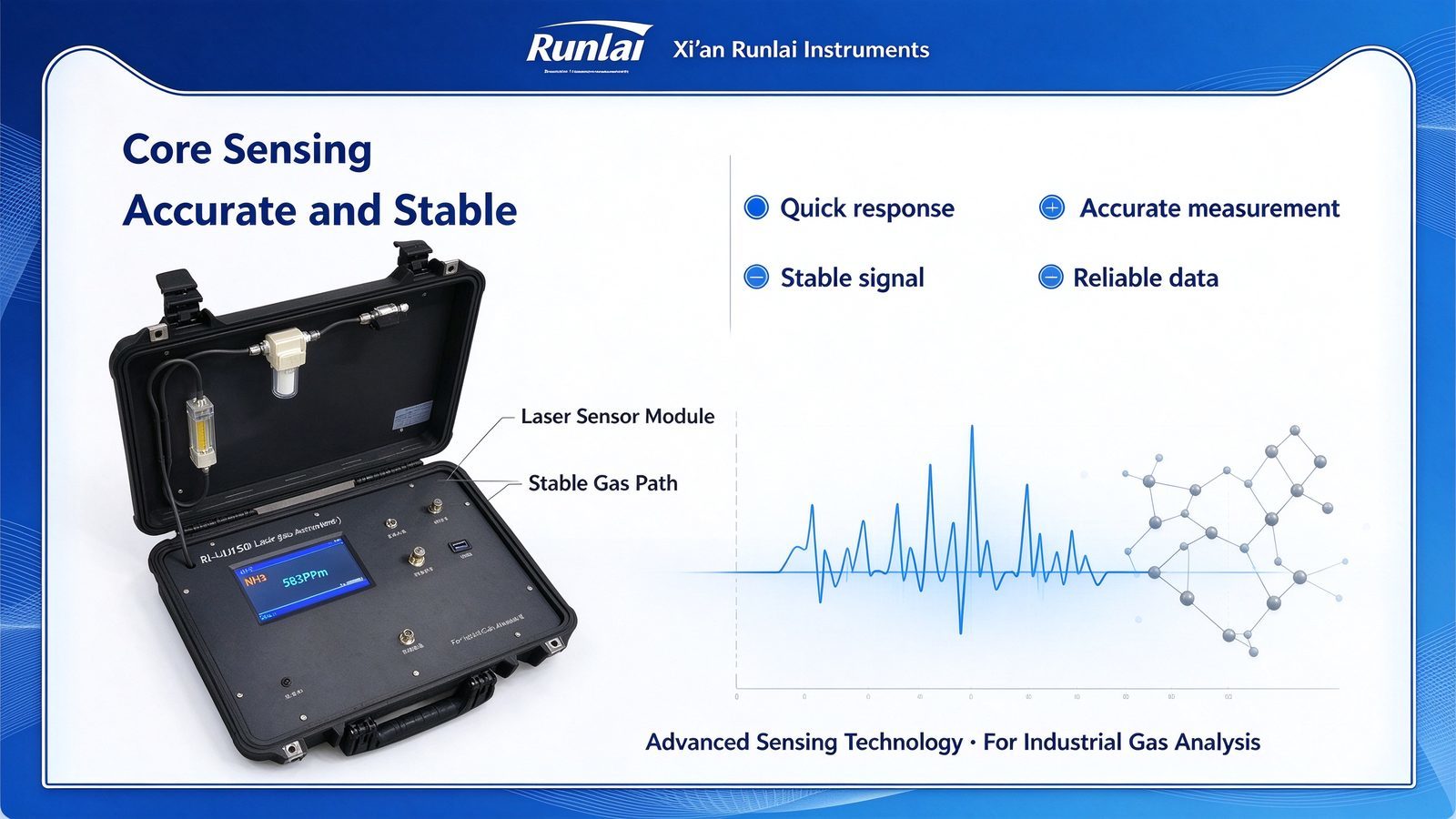 Portable Handheld TDLAS NH3 Gas Analyzer Real Time Detection Customizable Digital Solution