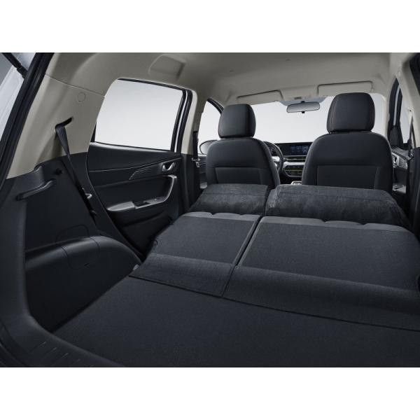 Pure Electric Mini EV Cars Max Speed 101 Km/H Long Range 310KM