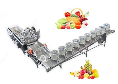 Efficient Customized Fruit And Vegetable Washing And Drying Production Line