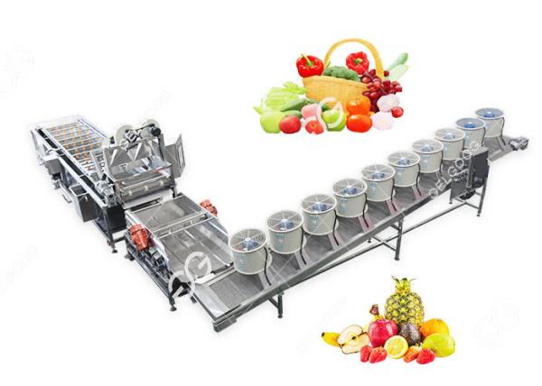 Automatic Fruit And Vegetable Washer Fruit And Vegetable Washing Processing Equipment