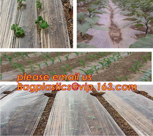 Durable plastic mulch film for greenhouse,Black/white Mulch Film/clear Plastic Protective Film,pe agriculture white/blac