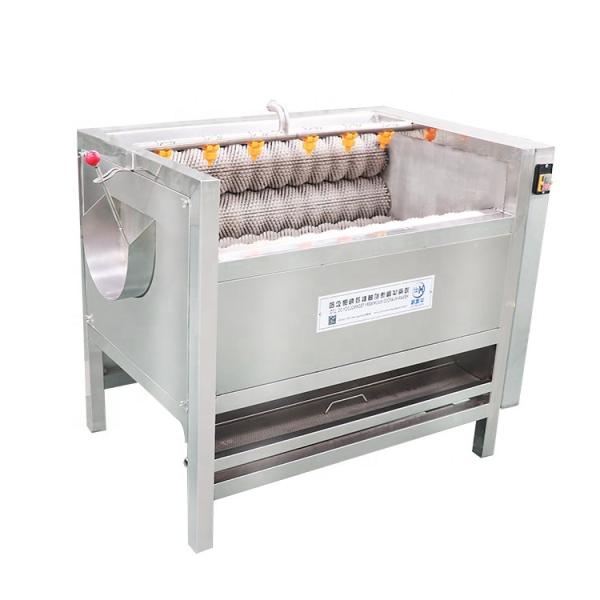 Automatic fish wash machine fish washing machine fish  cleaning machine