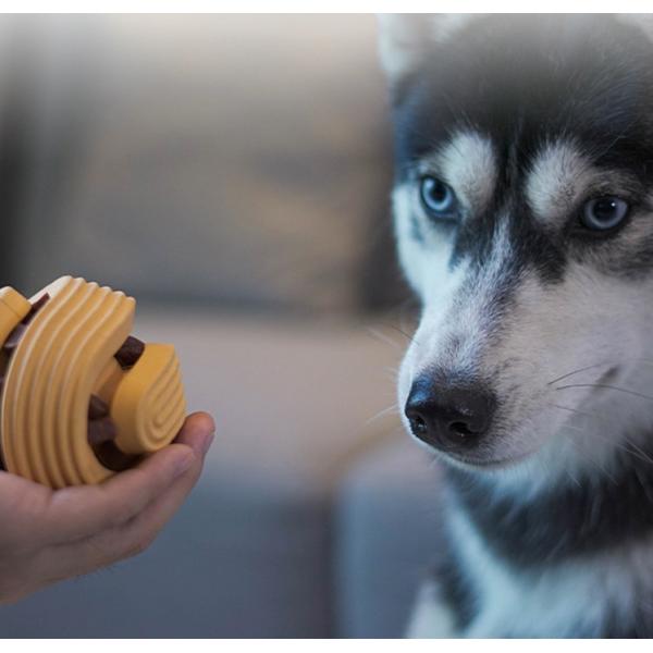 IQ обрабатывает собаку игрушки жевания сжимают природный каучук для собаки любимца небольшой средней