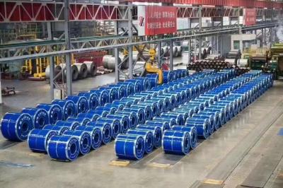 Stainless Steel Coil/ Stripe for Grade 304 310S 316L 321 317L 2507 904L 2205 304L 201 316ti 347H Buildi
