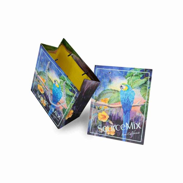 ISO Custom Printed Paper Gift Bags Bulk Order CMYK / Pantone Color