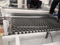 La bebida sosegada 250ml puede máquina de rellenar con control llano líquido