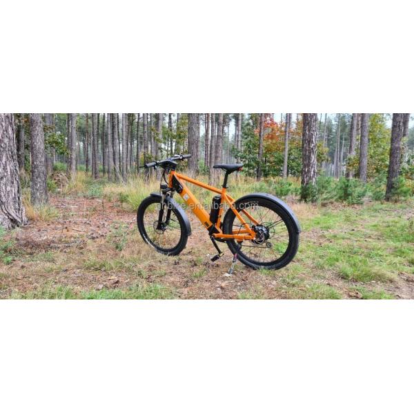 1000W 48V 14AH hidden battery hidden E-MTB lcd display electric mountain bike for your 's