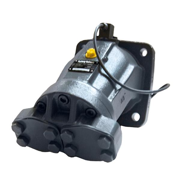 A2FM Series Of A2FM56 A2FM63 A2FM80 A2FM90 A2FM107/125 Hydraulic Motor for Crane