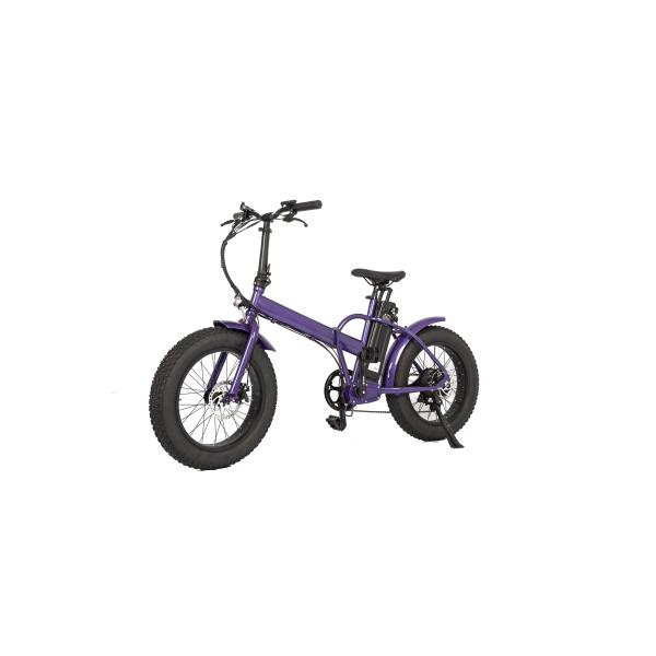 Adult Electric Folding Bike with Rear Hub Motor LCD Display Kenda Tire and Alloy Frame