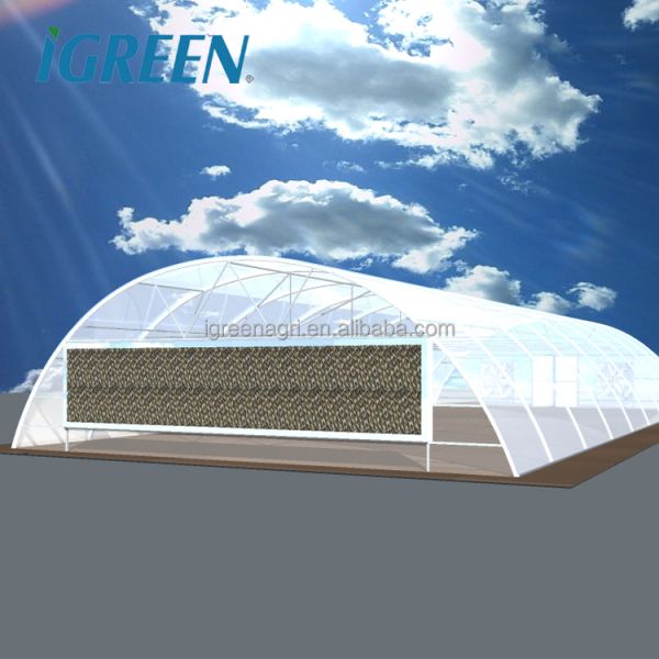 Single-Span PE PC Sheet Greenhouse for Hot & Arid Regions-Heat-Resistant Agricultural Greenhouse