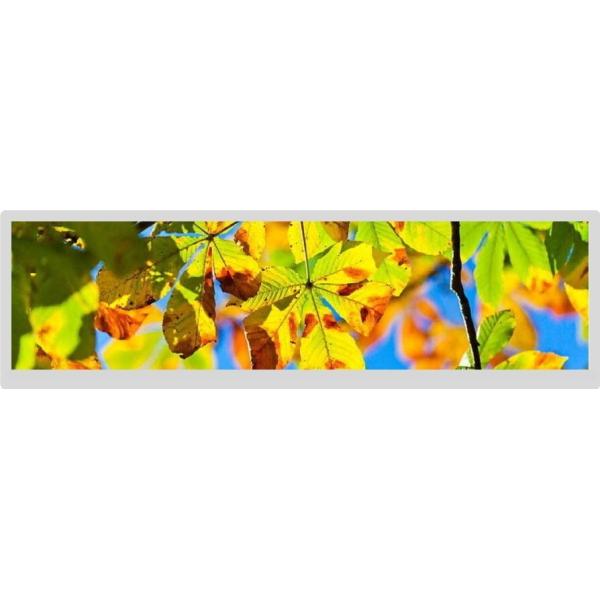 WLED 300cd/M2 19 Inch LCD Display 1920x360 30 Pins Lvds TFT LCD Display