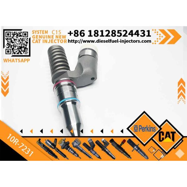Diesel Fuel Injector 276-8307 10R-7231 230-3775 for Cat-erpillar C18/C32 Common Rail Injection Valves