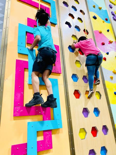 Recreação em Parque de diversões Cursos de cordas de aventura para crianças adultos