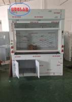 Custom Fume Hood with Water Scrubber Suppliers Ensuring Laboratory  and Safe Working Environment