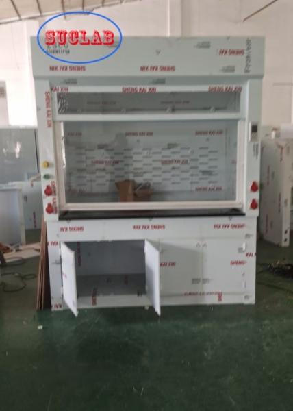 Custom 220V/110V Voltage Chemical Fume Hood with Scrubber Solutions and LED Lighting Performance