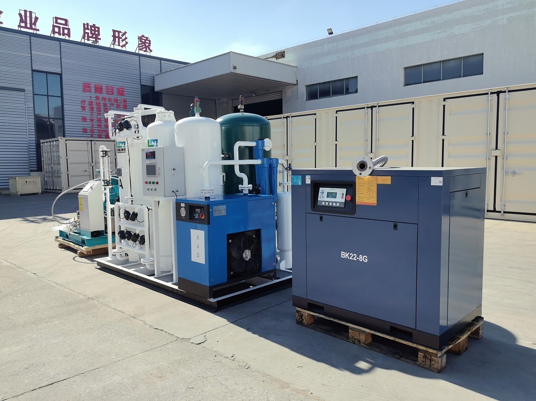 LuoMing PSA Medical Oxygen Generator 20Nm3/h 93% Purity Constant Pressure for Hospital Central Supply System