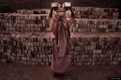 Clay Brick Hoffman Kiln 50000-200000 Bricks/D For Tiles Ceramic