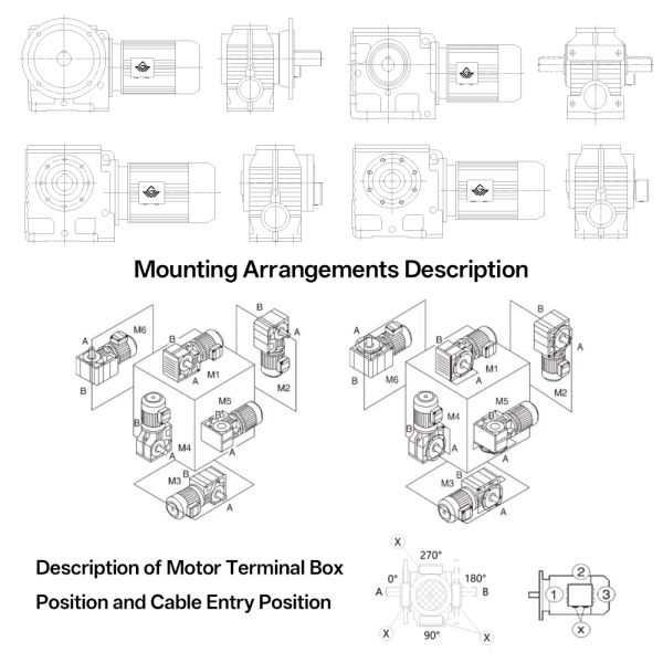 Custom 1.1 kW Single-Stage Reduction RV Series Worm Gearbox Motor Reducer with Helical Gears for Industrial Machinery