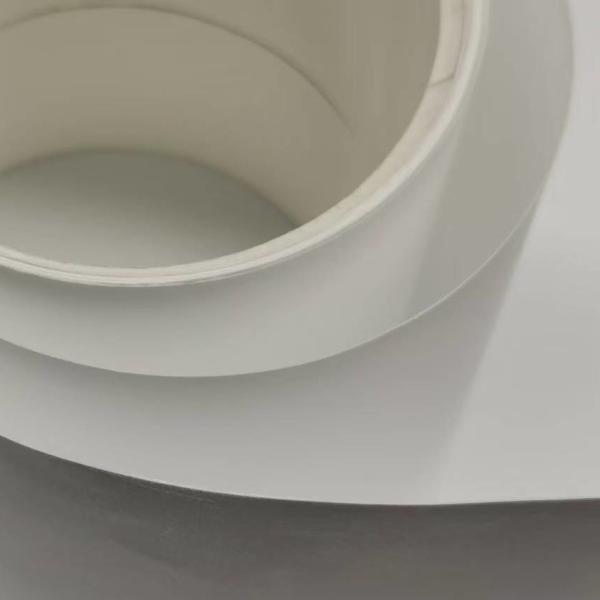Membrane hydrophobe en polytétrafluoroéthylène PTFE pour la filtration des gaz