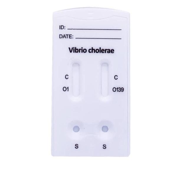 Essai rapide des cholerae O1/O139 de vibrio (résidus) avec du CE