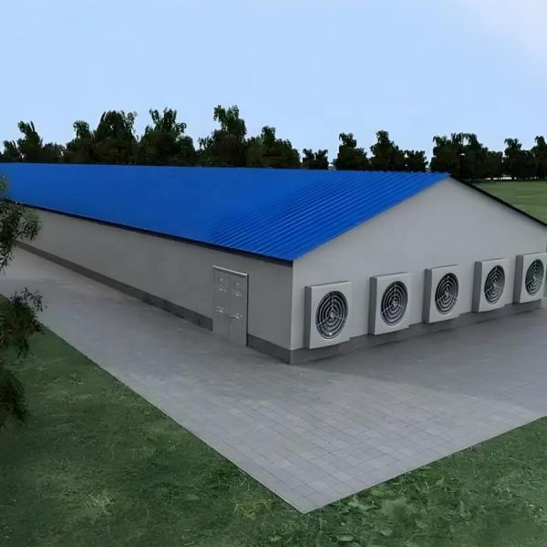 Fully Automated Steel Structure Poultry House with Energy-Saving Ventilation and Large-Scale Design