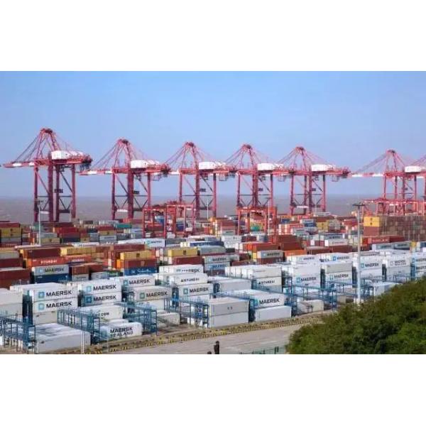 7x24Hour Service Ocean Freight Shipping China To Bangkok