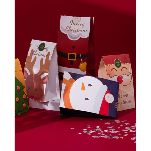 SGS PMS Kraft Christmas Gift Packing Box Biscuit Candy Snack Packaging Bag